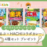 6/20は「るるぶの日」！人気旅行先の味が楽しめる「るるぶ×HACHIコラボカレー」4種セットを20名様にプレゼント！