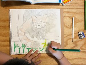 絶滅危惧種の動物はどんな種類がいる?原因も調べよう【小学生の自由研究アイデア】