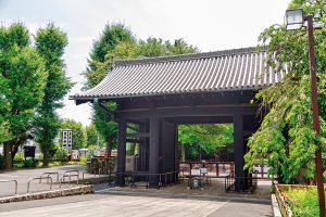 1日で終わった上野戦争とは?ゆかりの地で幕末の江戸を感じよう【小学生の自由研究アイデア】