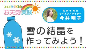 雪の結晶(けっしょう)の作り方【小学生の自由研究アイデア】