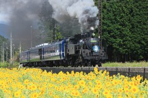 「SL大樹」を子連れで楽しむ鉄道旅!下今市駅のSL展示館・転車台の情報も