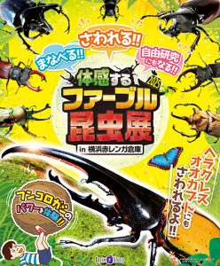 横浜赤レンガ倉庫で「体感するファーブル昆虫展」開催 ヘラクレスオオカブトに触って昆虫の魅力と不思議を体感しよう!