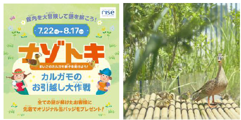 サマーブック(夏休み日記)夏休みの思い出の1ページを作ろう/二子玉川ライズ(東京都/世田谷区)
