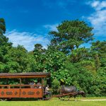 子連れにおすすめ！沖縄の観光スポット・テーマパーク9選 自然や文化を遊びながら学ぼう