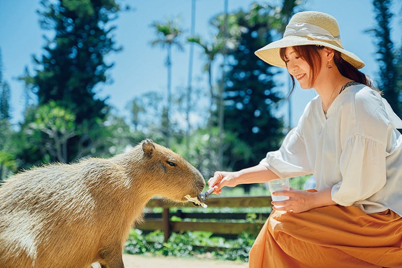 美らヤシパークオキナワ・東南植物楽園(沖縄県/沖縄市)