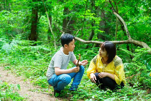 自由研究&夏休みの宿題にピッタリのアクティビティ