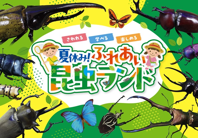 夏休み!ふれあい昆虫ランド
