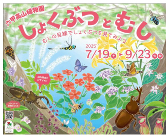 しょくぶつとむし