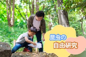 昆虫の自由研究テーマ集!カブトムシやクワガタ、セミ、ダンゴムシなど 楽しく観察するアイデアが満載