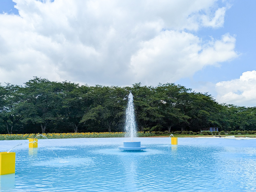 じゃぶじゃぶ水広場│YUMEBOKU SUMMER FESTIVAL 2025/成田ゆめ牧場(千葉県/成田市)