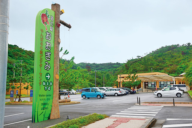 道の駅おおぎみ・やんばるの森ビジターセンター(沖縄県/大宜味村)