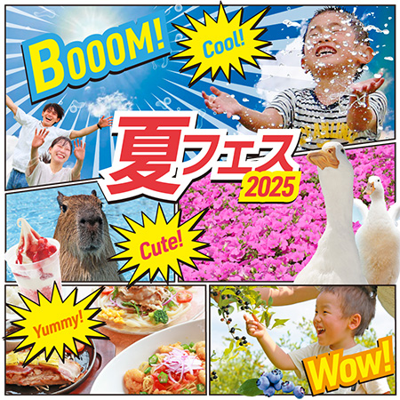 マザー牧場 夏フェス2025/マザー牧場(千葉県)