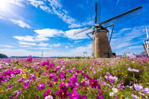 【首都圏】9月・10月・11月  子連れ国内旅行 人気ホテルランキング 都心へのアクセス便利な宿が人気!