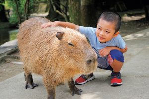 長崎バイオパークは動物たちと間近でふれあえる!カピバラ・カンガルー・リスザルなど