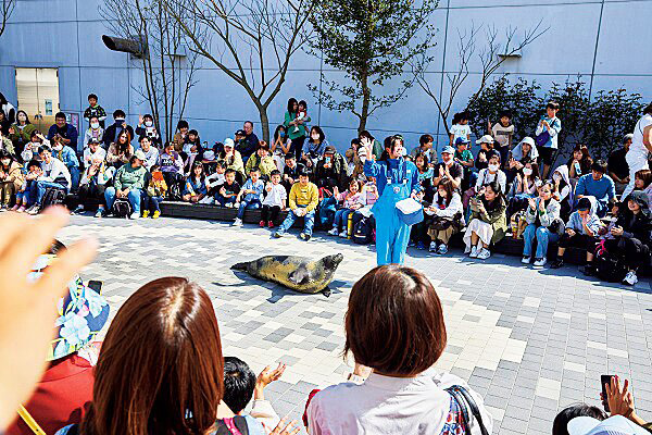 360度どこからでも見られるアイランドステージ/マリンワールド 海の中道かいじゅうアイランド(福岡県/福岡市)