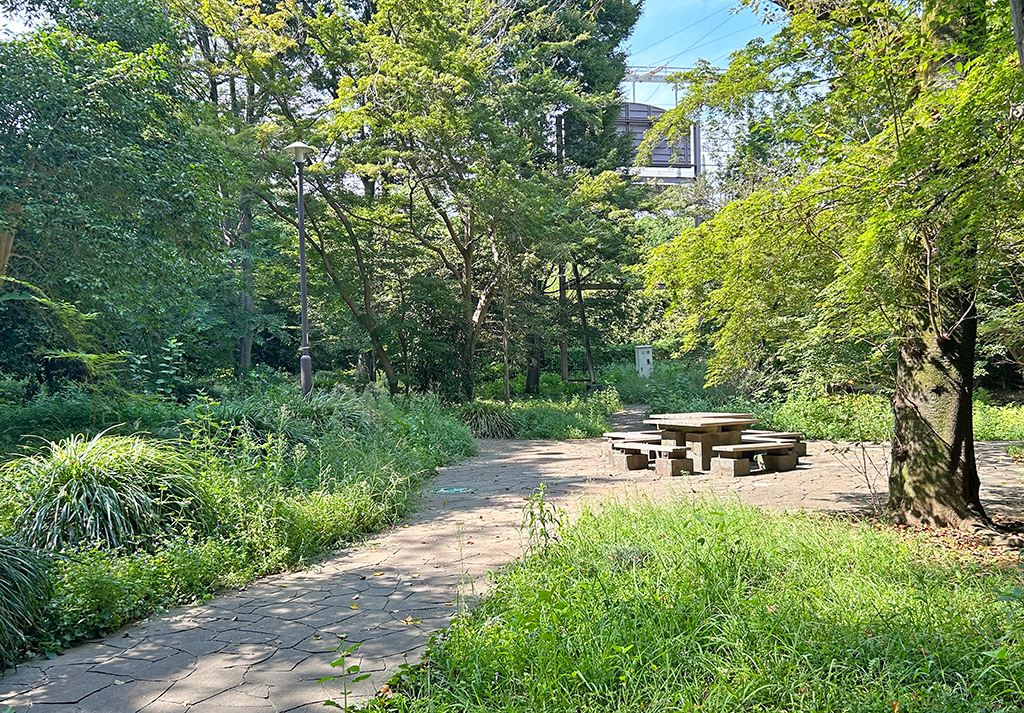 芹ヶ谷公園 藤棚近く(東京都/町田市)のポケふたへの散策路