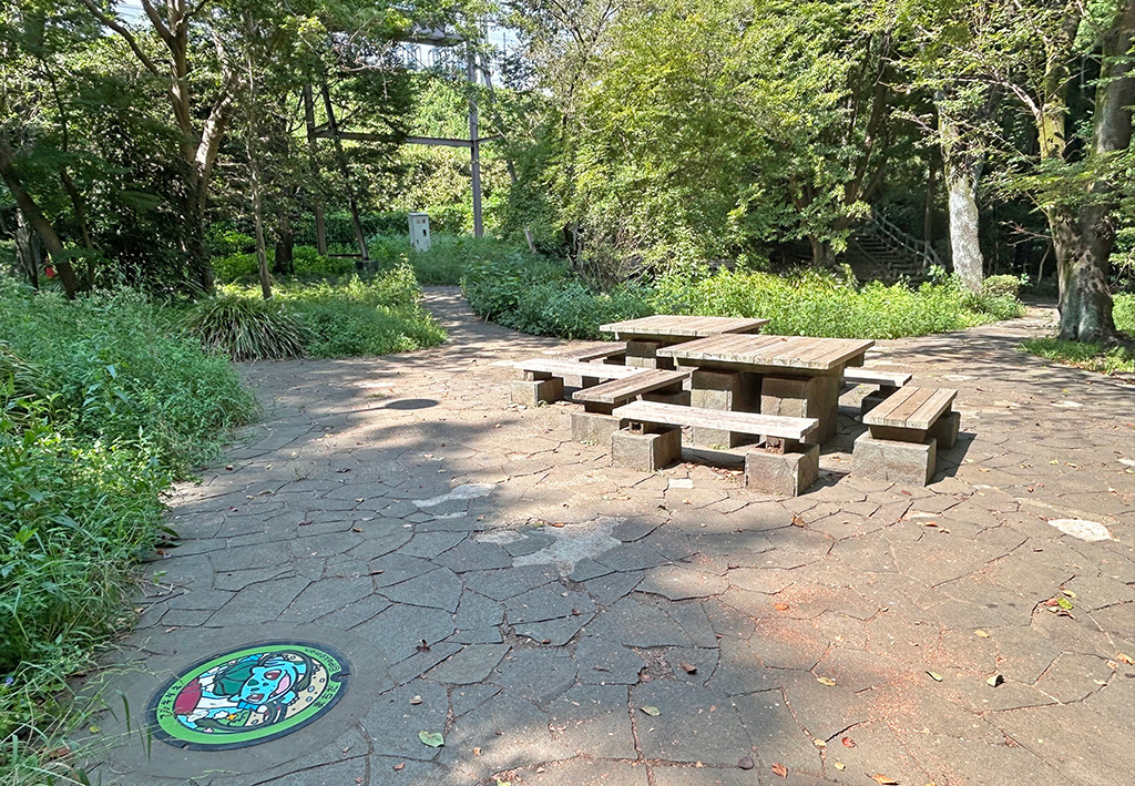 芹ヶ谷公園 藤棚近く(東京都/町田市)にあるポケふた「フシギダネ」