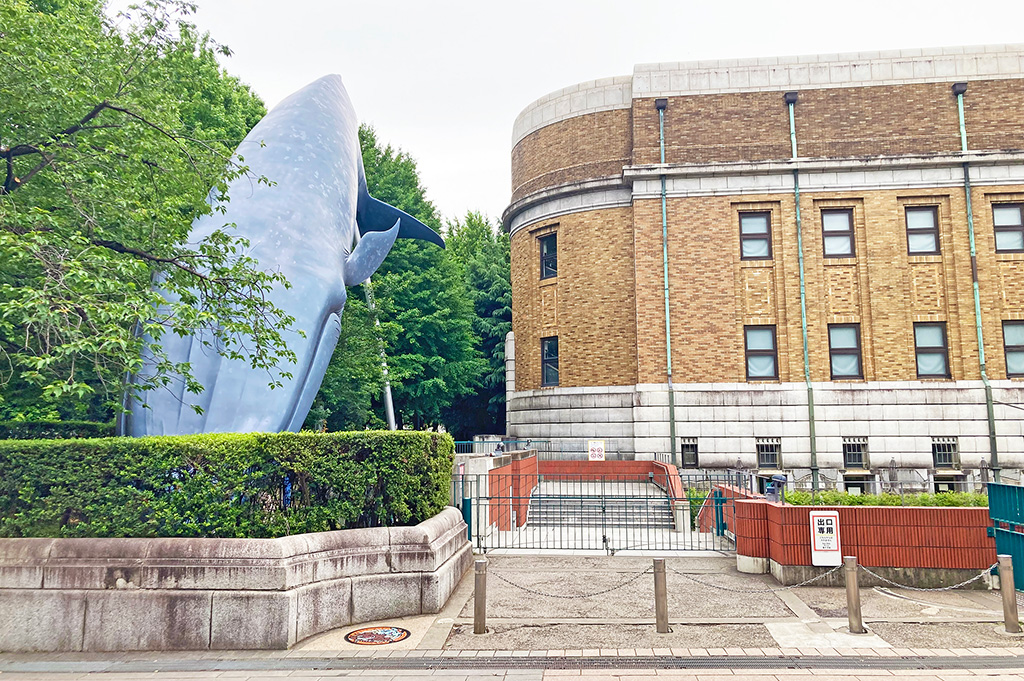 国立科学博物館(東京都/台東区)にあるポケふた