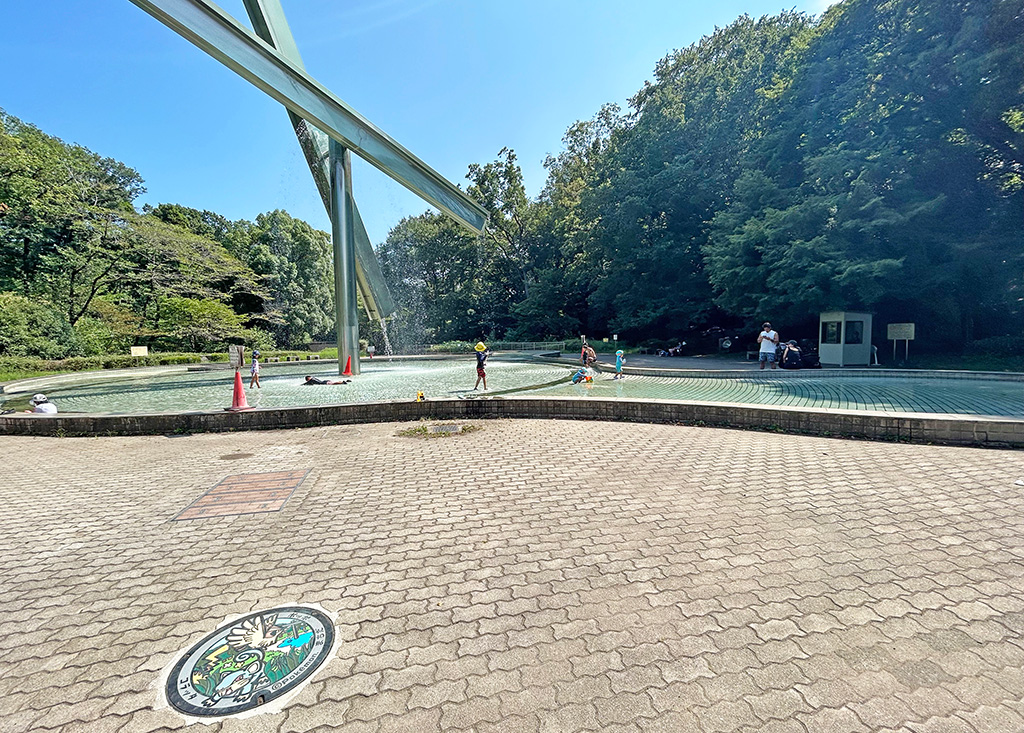 芹ヶ谷公園 虹と水の広場(北側)(東京都/町田市)にあるポケふた「ポッポ」と「コラッタ」