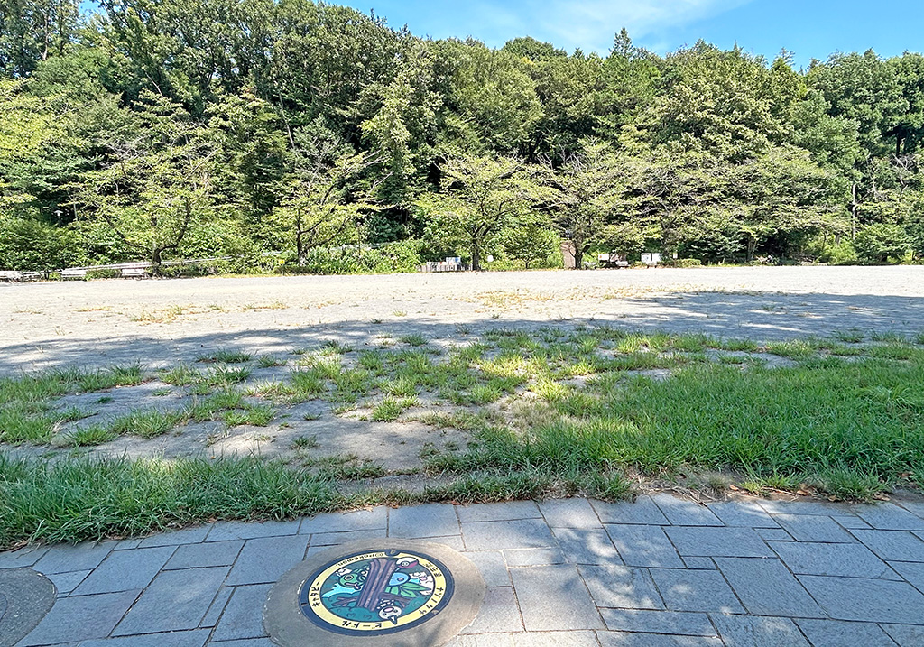 芹ヶ谷公園 多目的広場(東京都/町田市)にあるポケふた「ナゾノクサ」「ビードル」「キャタピー」