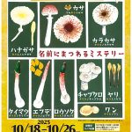 茨城・筑波実験植物園で「きのこ展」開催　親子できのこの香りや手触り、ワークショップなども楽しめる企画展