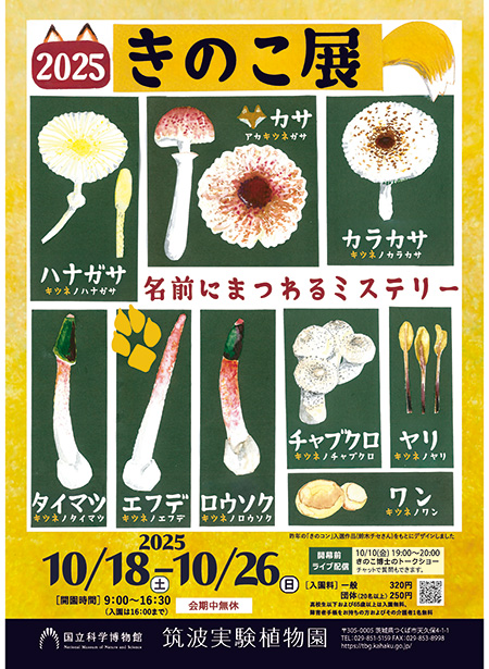 きのこ展 ~名前にまつわるミステリー~(茨城県/つくば市)