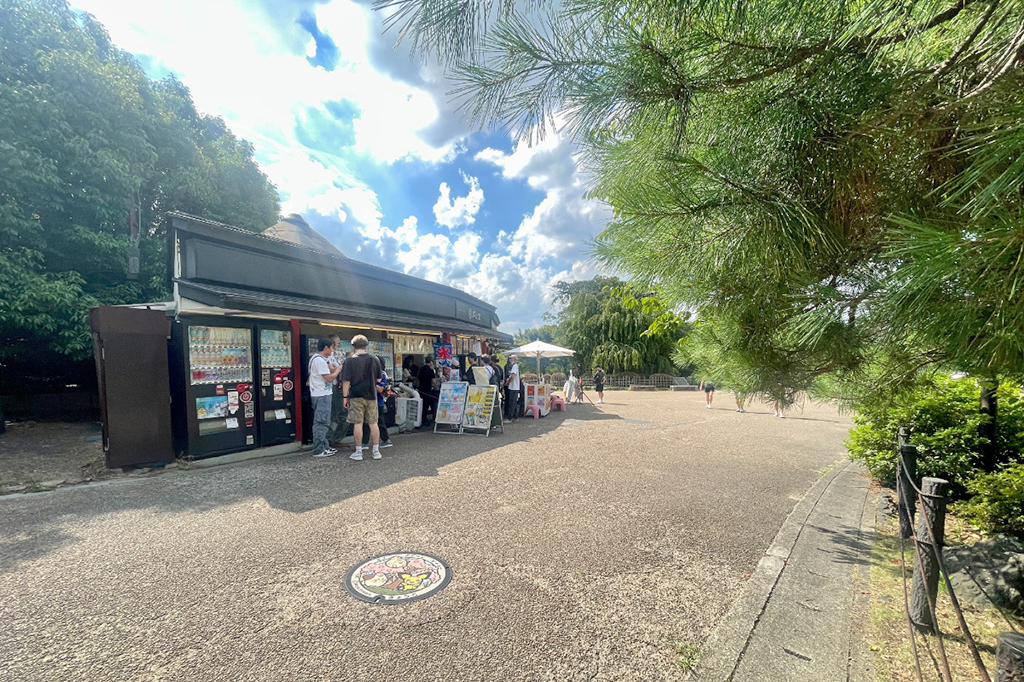 円山公園のポケふた「ピチュー」・「ピィ」・「ププリン」がある場所(京都府/京都市)