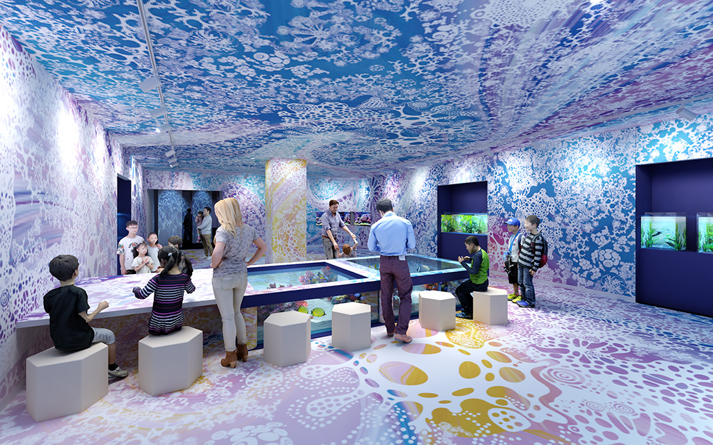 サンゴの海の世界が広がる「Coral(色彩のシーン)」/広島もとまち水族館(広島県/広島市)