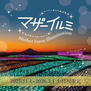 千葉・マザー牧場で「マザーイルミ」開催　ナイト遊園地やバンジージャンプ、動物ふれあい体験と充実した夜を満喫