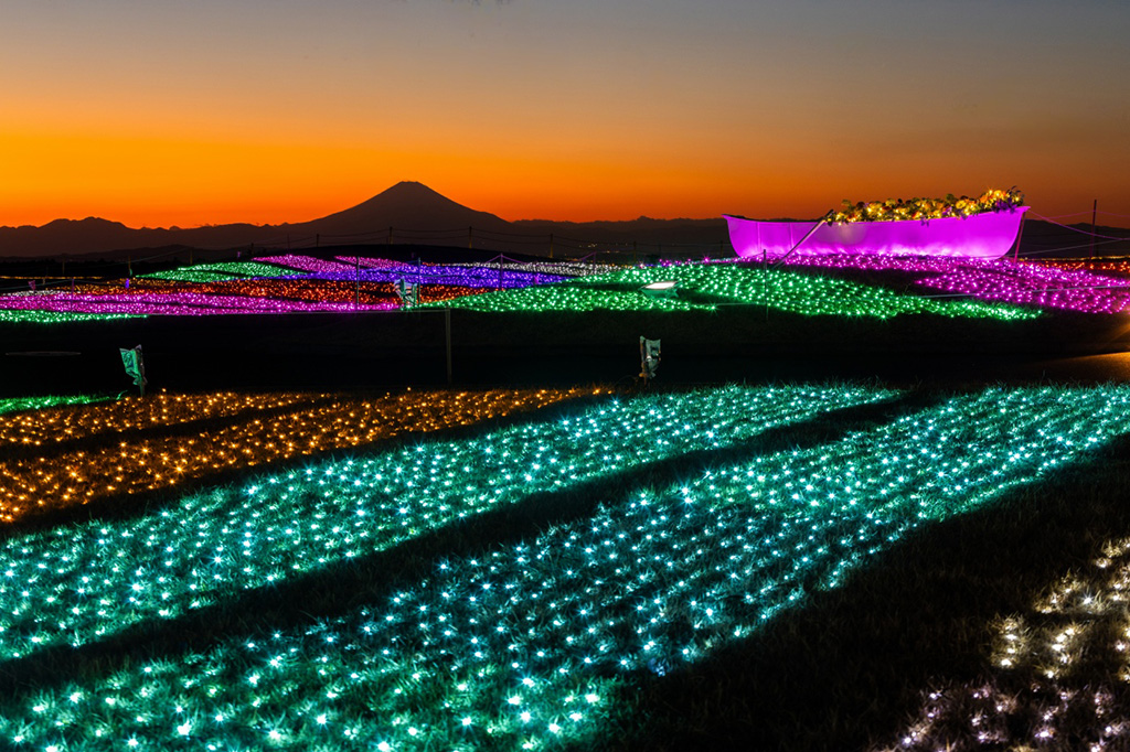 マザーイルミ/マザー牧場(千葉県/富津市)