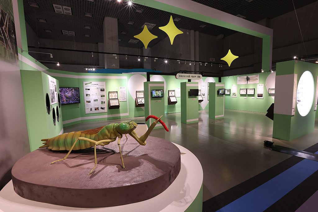 昆虫標本│特別展「昆虫 MANIAC」開催概要/名古屋市科学館（愛知県/名古屋市）