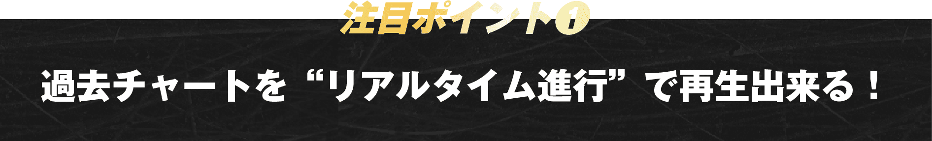 注目ポイント1