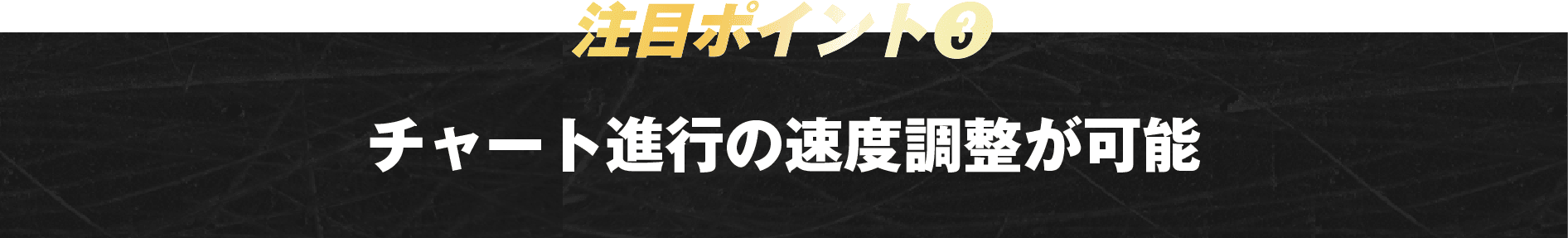 注目ポイント3