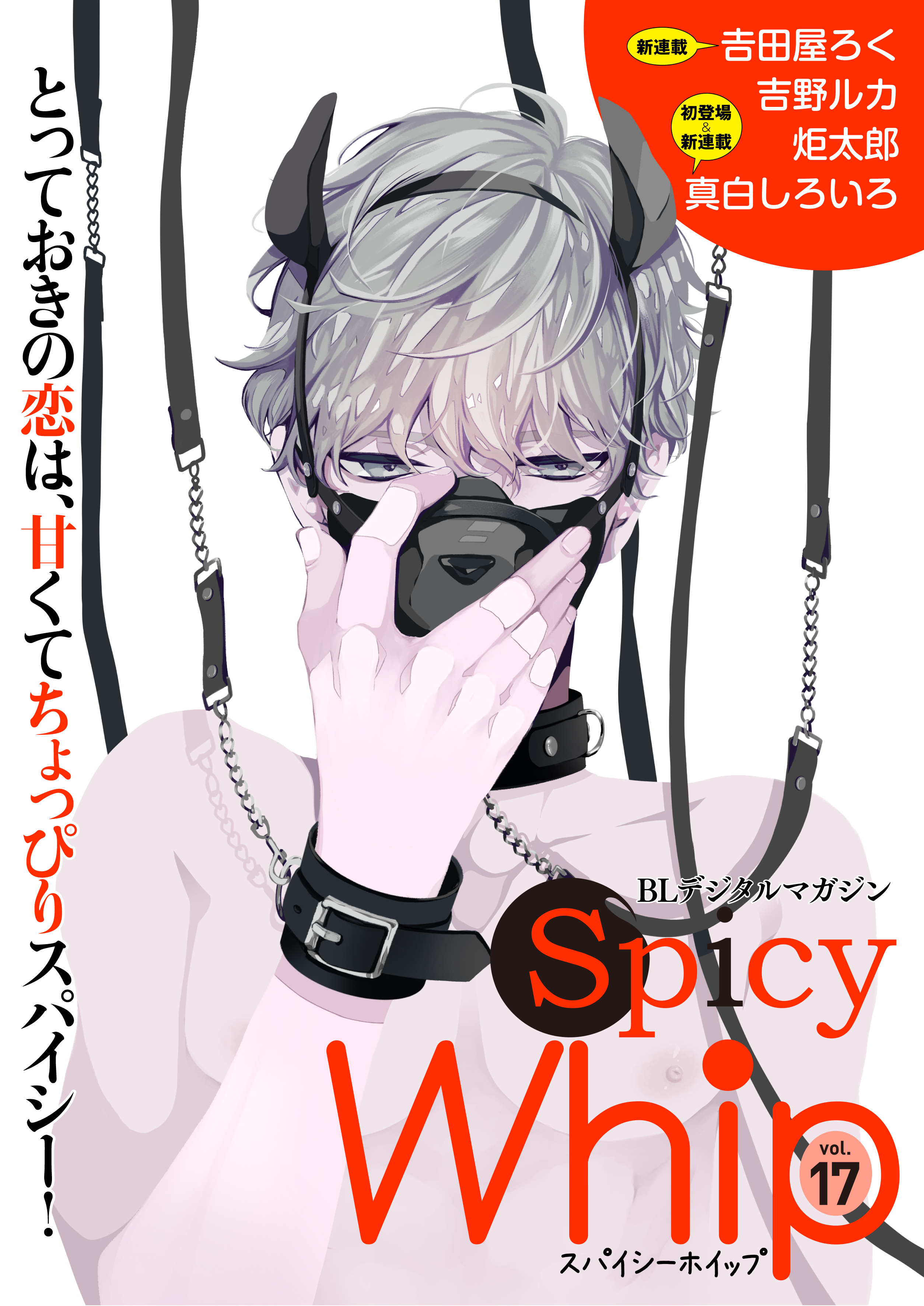 Spicy Whip Vol 17 つながりで読むwebの本 Yondemill ヨンデミル