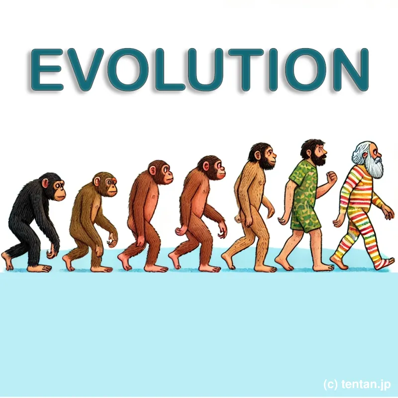 evolutionの解説