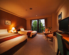Deluxe Twin Bed Room