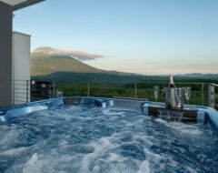 2 Bedroom Penthouse