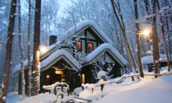 Forest Clock Cafe