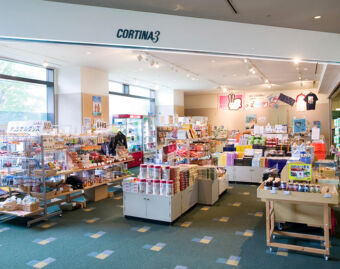 Appi Kogen Shopping