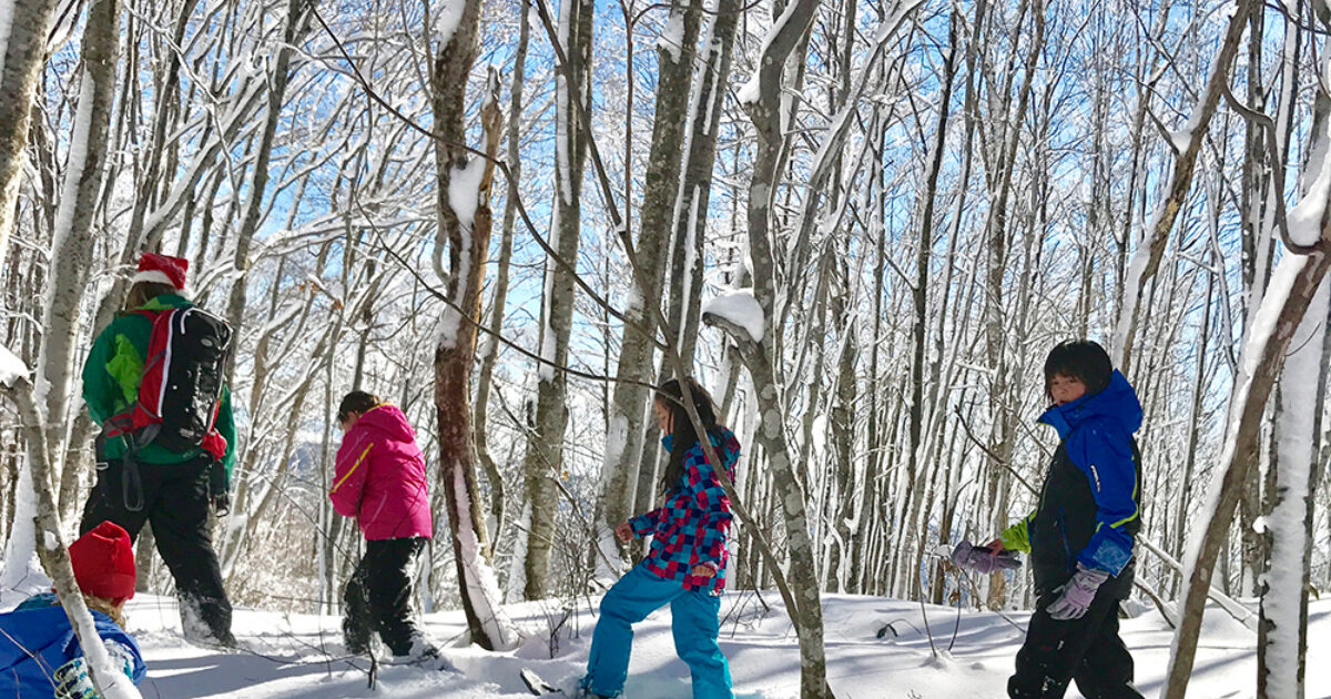 Snowshoe Tours Ski Japan Holidays