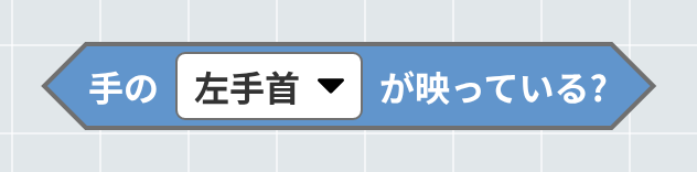 手の部位が映っている?