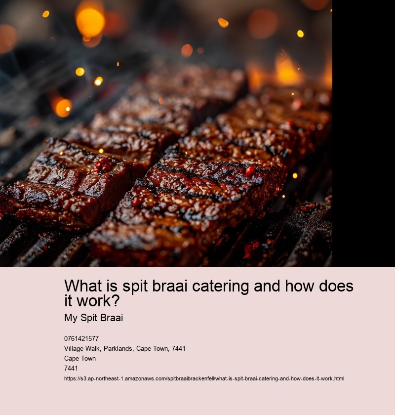 What is spit braai catering and how does it work?