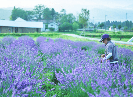 「豊かな原風景とハーブの力で、 心とカラダを呼び覚ます場所「ヘルジアンウッド」」 画像3