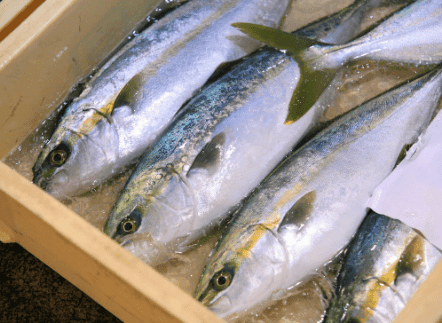 「日本海の恵みが詰まった、食の宝箱」 画像1