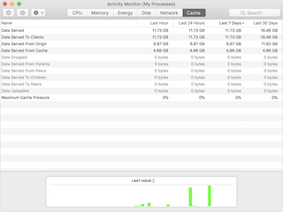 アクティビティモニタのキャッシュパネル