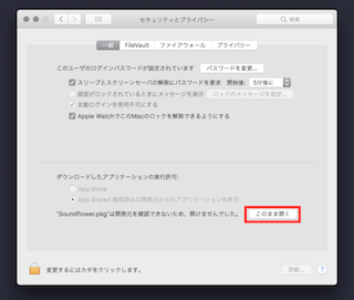 セキュリティとプライバシーから「このまま開く」を選択