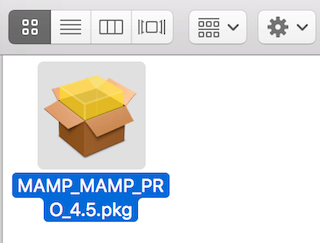 ダウンロードしたpkgファイル