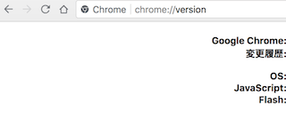 chrome://version