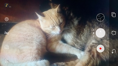 HDカメラPro＆Selfieカメラの撮影画面