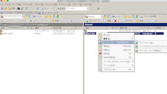 WinSCPでファイルのダウンロード